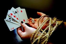 Зеркало DBbet Casino